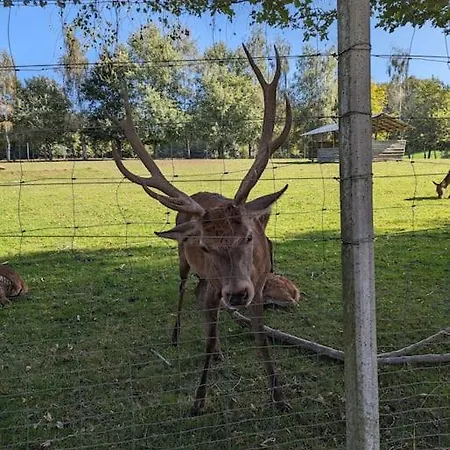 Apartment Apartmentlochbruecke