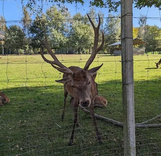 Apartamento Apartmentlochbrücke